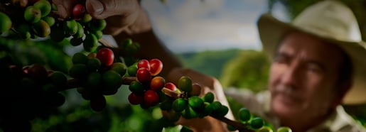 production process 1